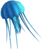 Méduse