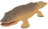 Tétrapode