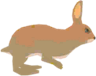 Mammifère
