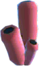 Éponge